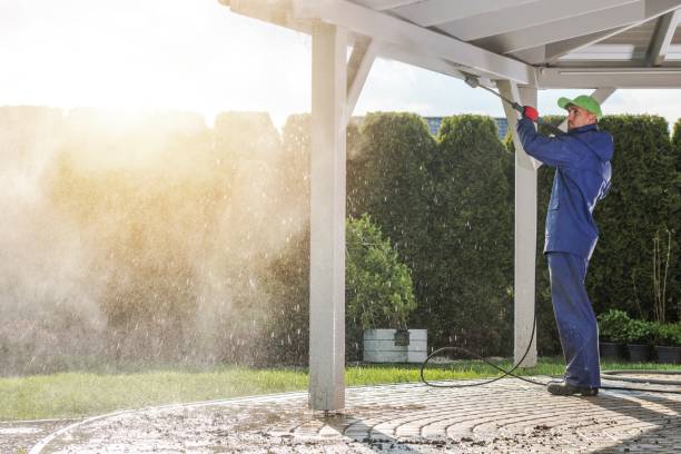 Best Driveway Pressure Washing  in Aiea, HI
